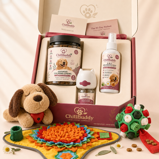 ChillBuddy Kit