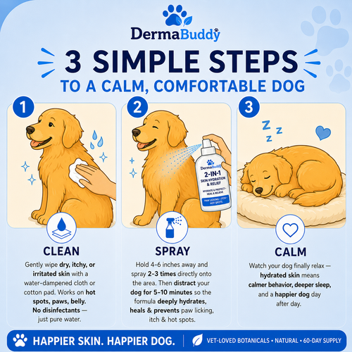 DermaBuddy 2 in 1 Spray [Free Today]